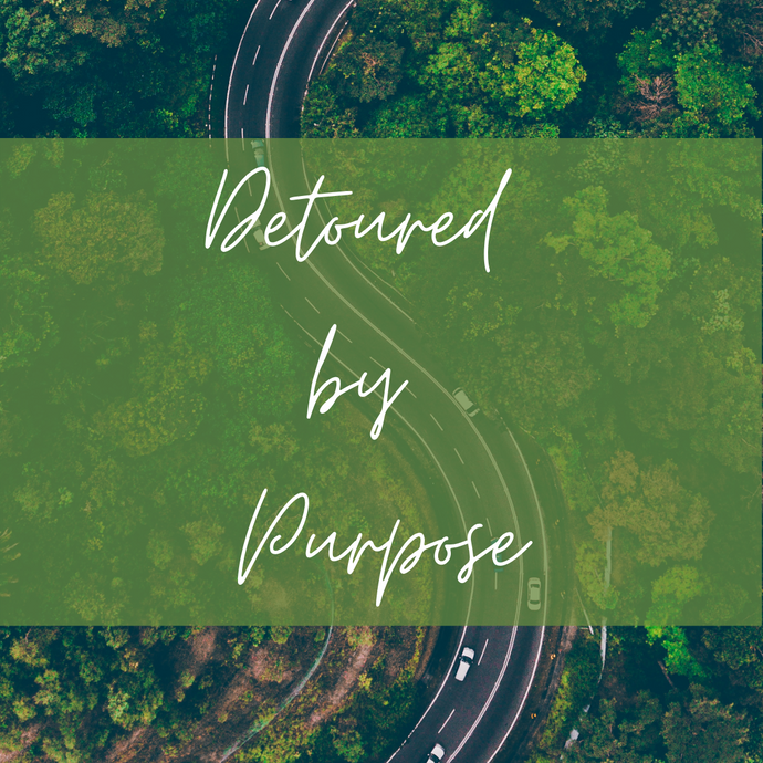 Detoured by Purpose